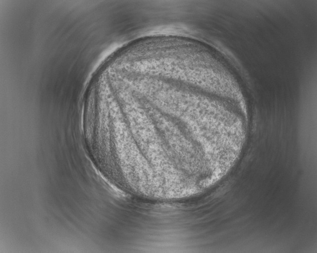 X0000076431224200611031831