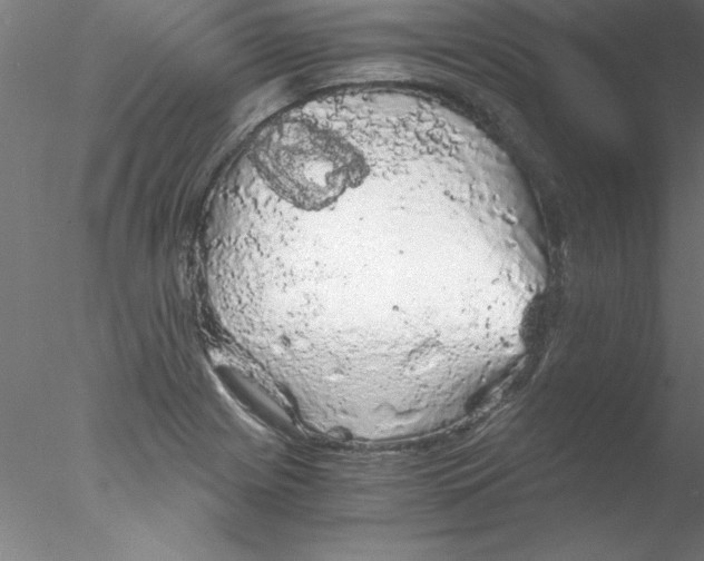 X0000076431225200611031831