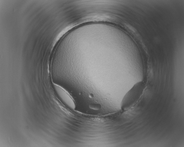 X0000076431226200611031831