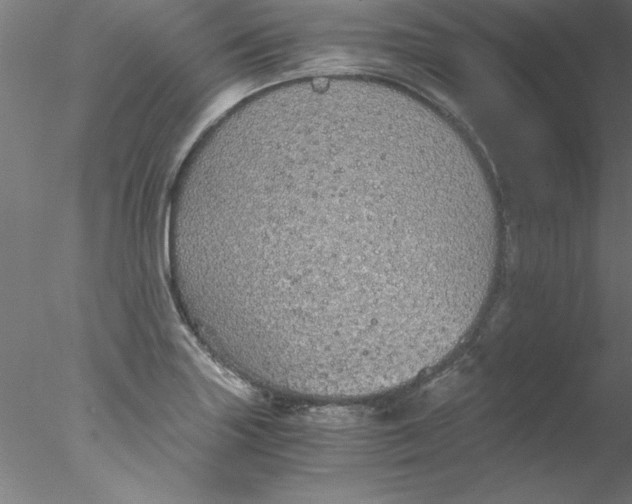 X0000076431227200611031831