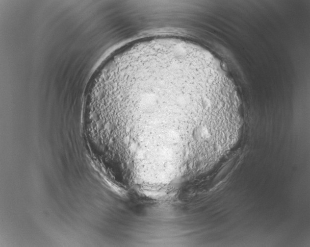 X0000076431228200611031831