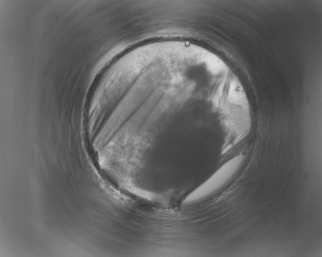 X0000076431229200611031831