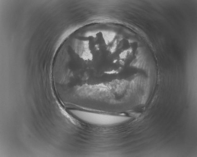 X0000076431231200611031831