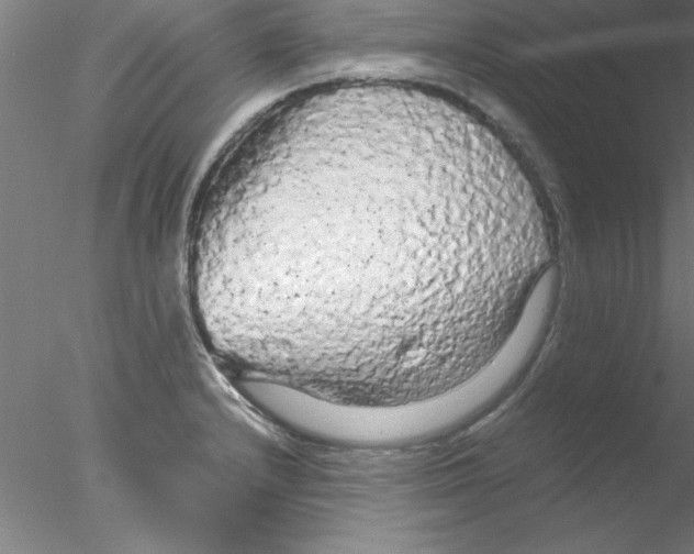 X0000076431232200611031831