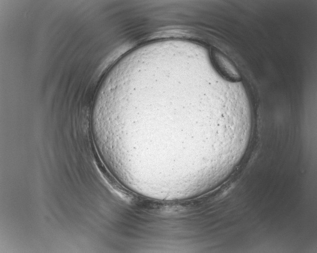 X0000076431233200611031831