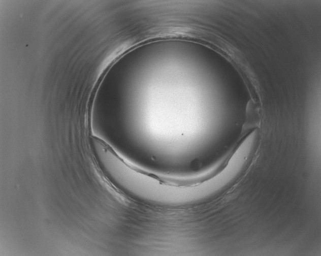 X0000076431234200611031831