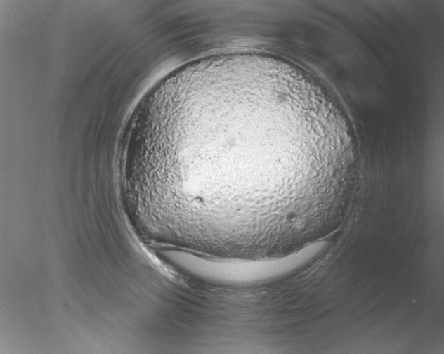 X0000076431235200611031831