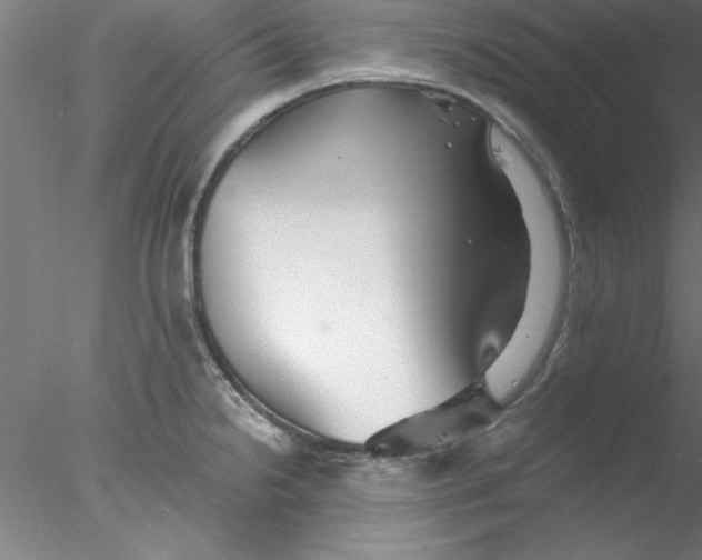 X0000076431238200611031831