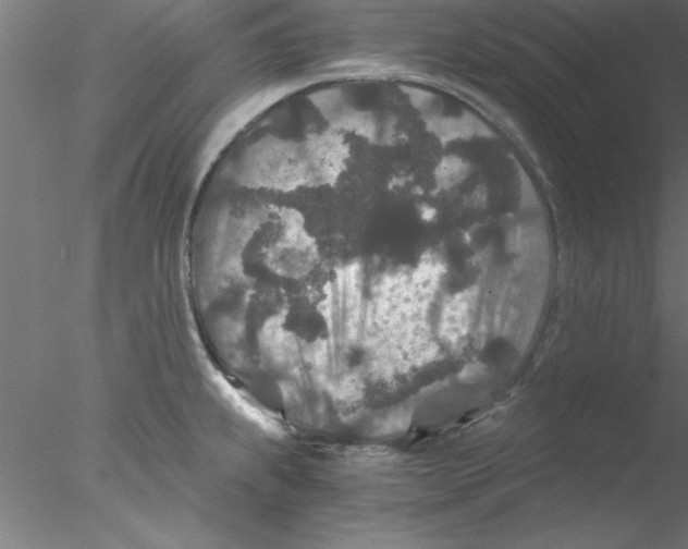 X0000076431239200611031831