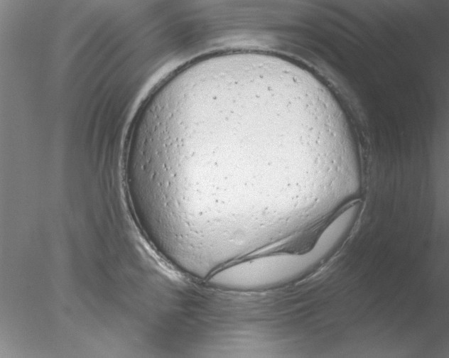 X0000076431240200611031831