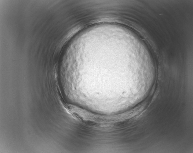 X0000076431241200611031831