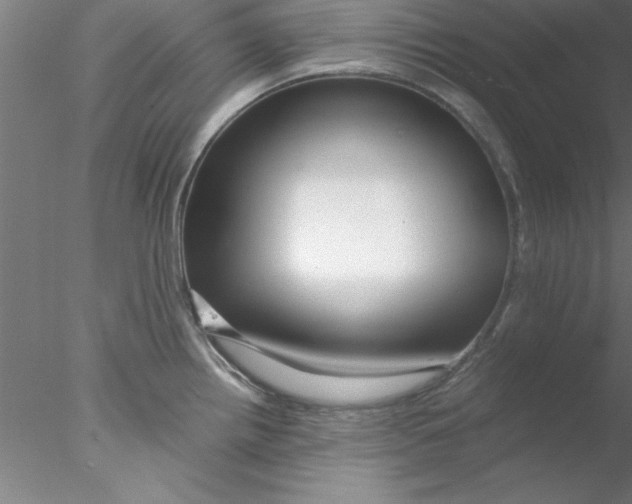 X0000076431242200611031831