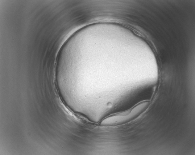 X0000076431244200611031831