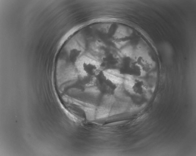 X0000076431245200611031831