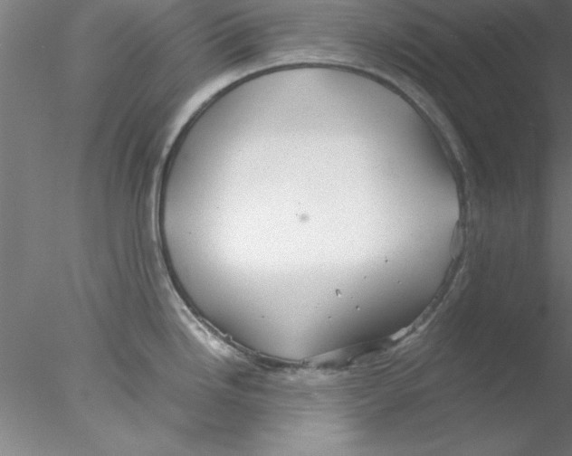 X0000076431246200611031831