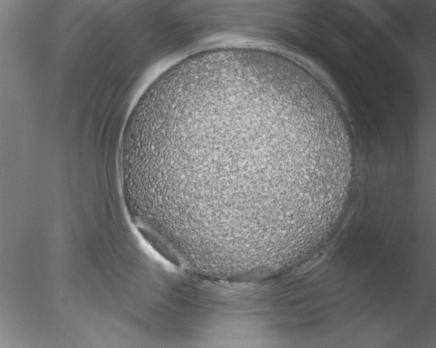 X0000076431247200611031831