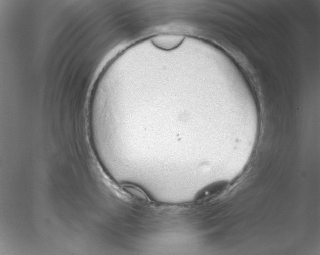 X0000076431248200611031831