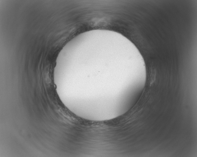 X0000076431250200611031830