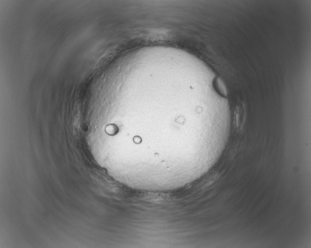 X0000076431251200611031830