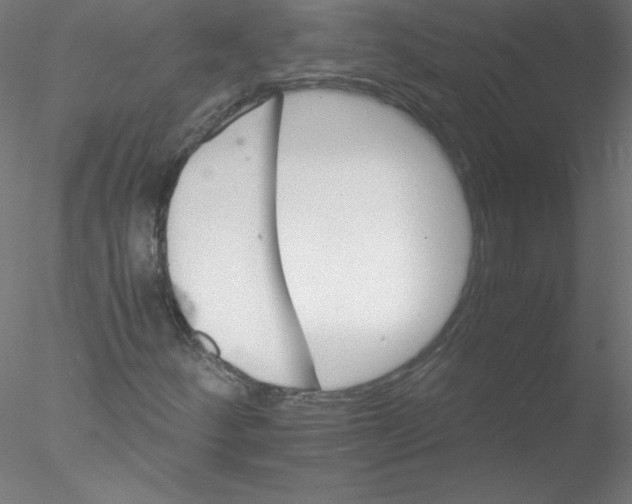 X0000076431252200611031830