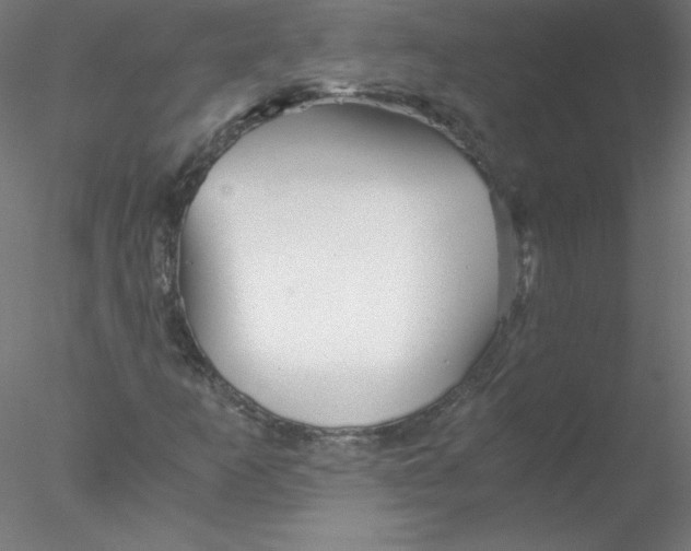 X0000076431253200611031830