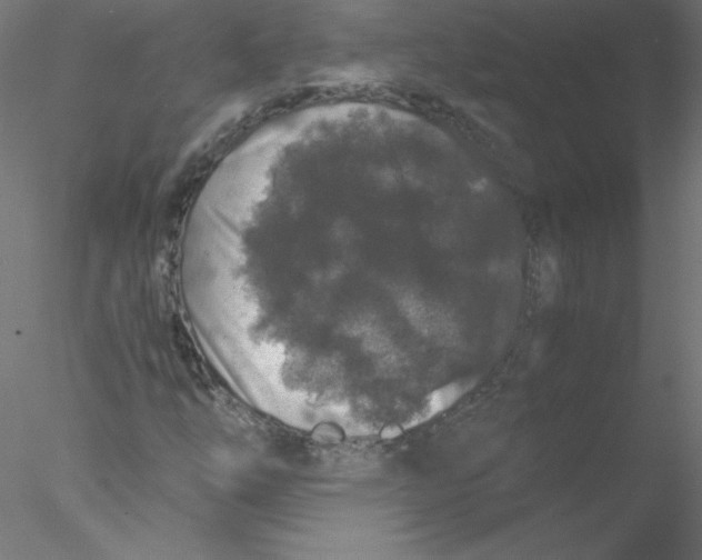 X0000076431254200611031830