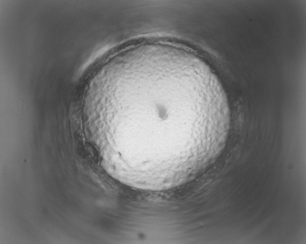 X0000076431255200611031830