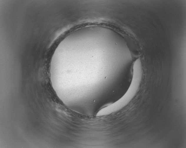 X0000076431256200611031830