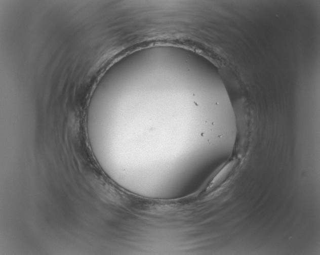 X0000076431257200611031830