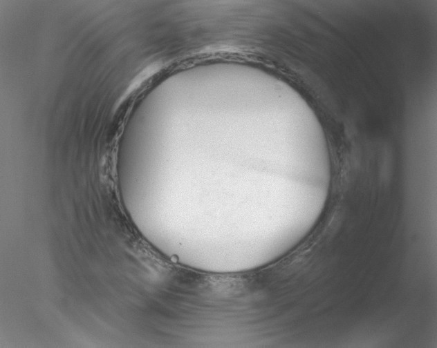 X0000076431258200611031830