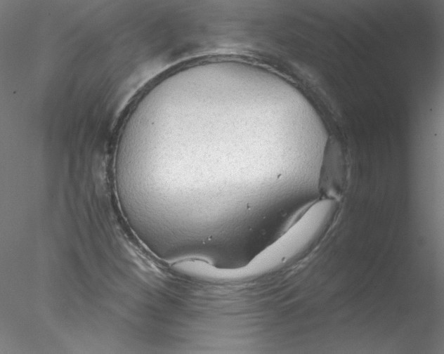 X0000076431260200611031830