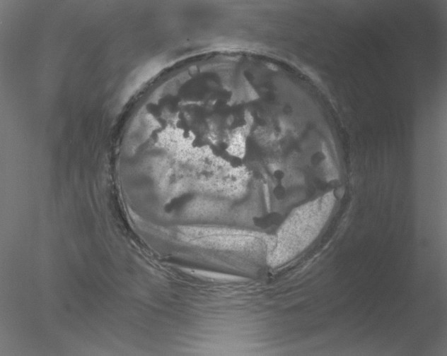 X0000076431263200611031830