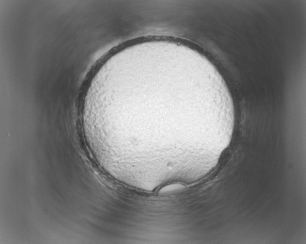 X0000076431264200611031830