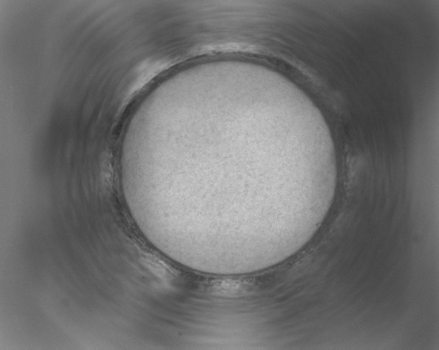 X0000076431266200611031830