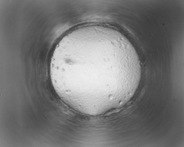 X0000076431267200611031830