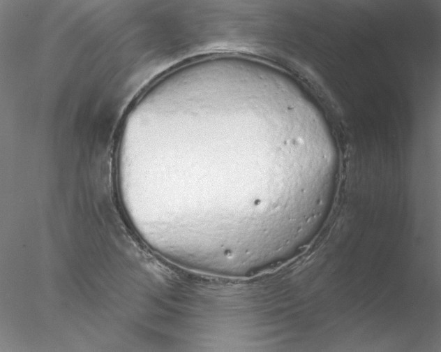 X0000076431268200611031830