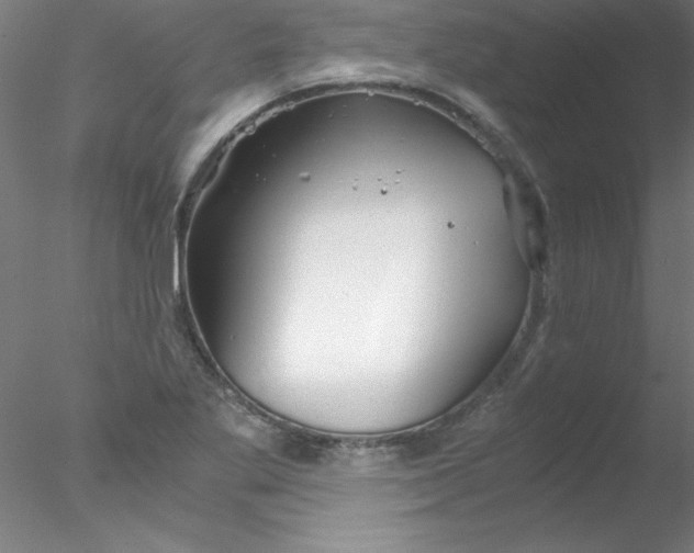 X0000076431269200611031830