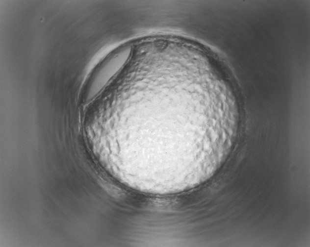 X0000076431271200611031830