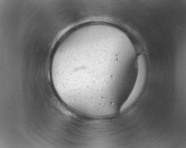 X0000076431272200611031830