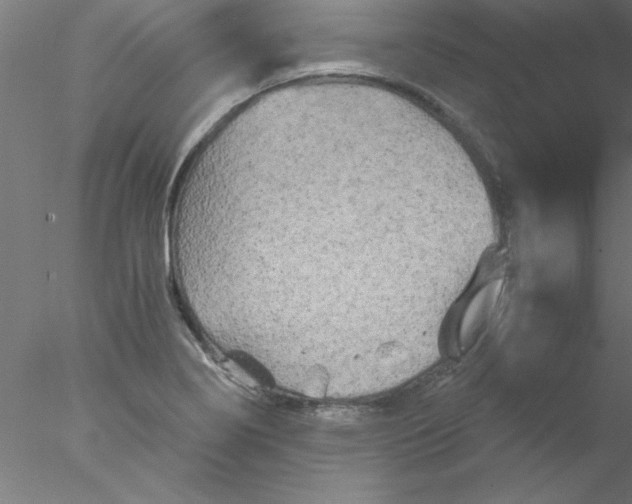 X0000076431274200611031830