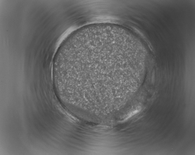 X0000076431275200611031830