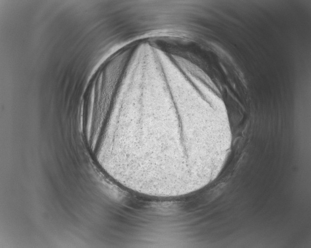 X0000076431276200611031830