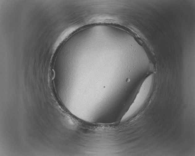 X0000076431277200611031830