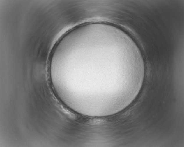 X0000076431278200611031830