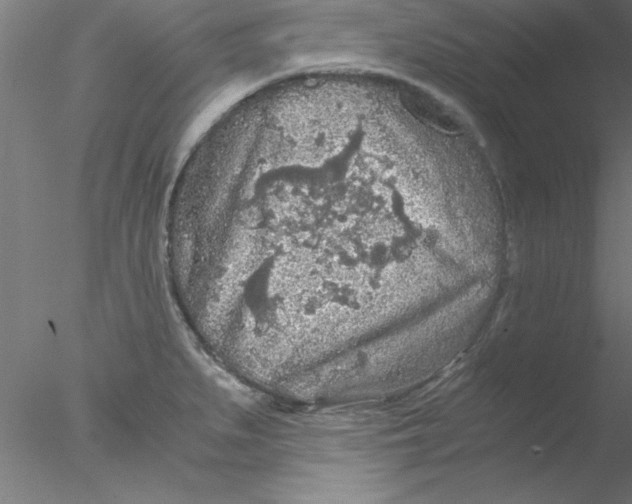 X0000076431279200611031830