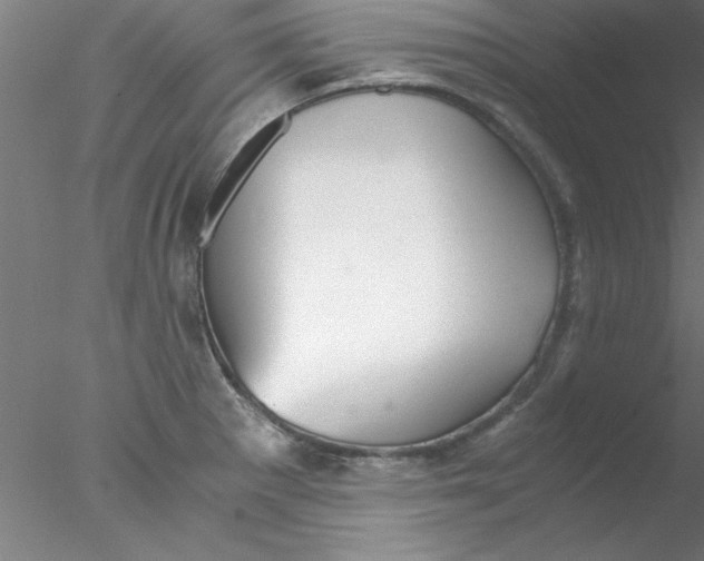 X0000076431281200611031830