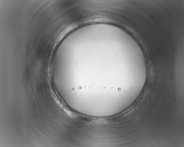 X0000076431282200611031830