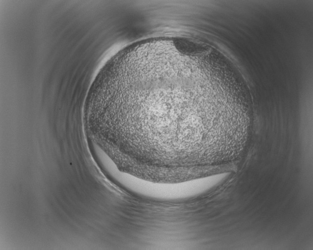 X0000076431283200611031830