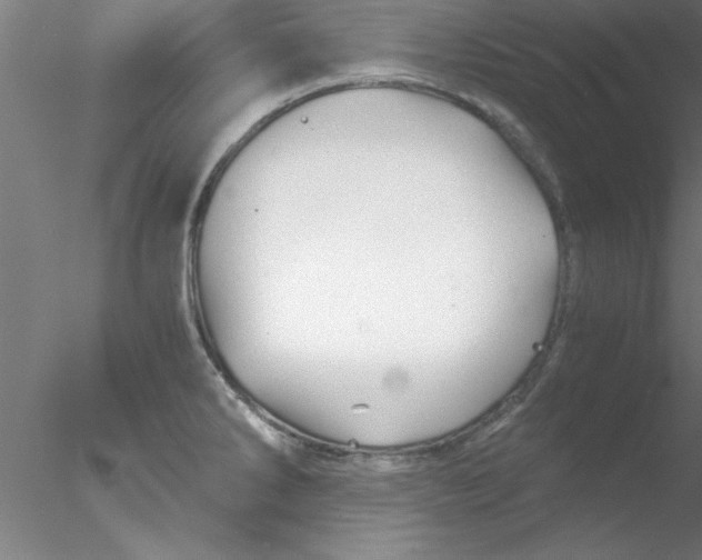 X0000076431286200611031830