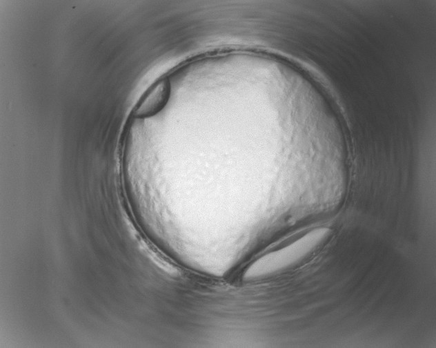 X0000076431287200611031830